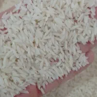 برنج هاشمی و لاشه برنج|عمدهفروشی|تالش, تالش|دیوار