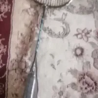 راکد تنیس
