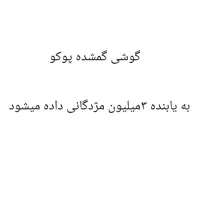 گوشی گمشده پوکو x3 pro