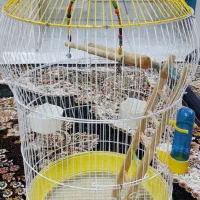 قفس پرنده