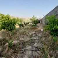 باغ چهاردیواری ۸۰۰ متر دهشاد شهریار نعمت آباد بکه|فروش دفتر صنعتی، کشاورزی، تجاری|شهریار, دهشاد بالا|دیوار