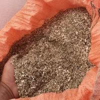 کاه آفتاب گردان