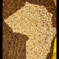 کود ..جو . گندم  نخود شکر  کاه سنم