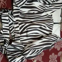 شومیز و دامن|لباس|قم, ولیعصر|دیوار