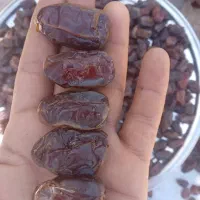 خرمای کبکاب درجه یک|عمده‌فروشی|بوشکان, |دیوار