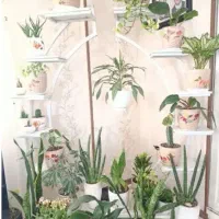پایه گل
