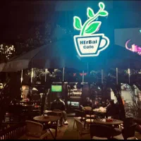 دوره خصوصی باریستا در کافه هربال رشت