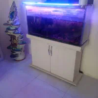 مبل و میز غذاخوری و آکواریوم و میز تلویزیون|مبلمان خانگی و میز عسلی|پرند, فاز ۶|دیوار