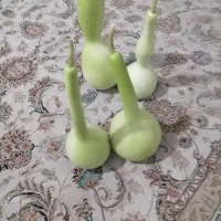 کدو قلیونی|صنایع دستی و سایر لوازم تزئینی|شیراز, شهرک صادقیه|دیوار