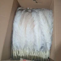 شا پر علامت یا علم