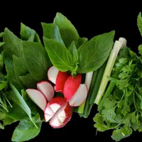سبزی خردکنی