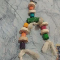 لوازم جانبی پرنده|لوازم جانبی حیوانات|سرخه, |دیوار