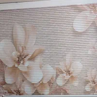 پرده زبرا دومکانیزه