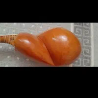 تار  استاد کلهر یک چهارم|سازهای سنتی|تهران, جوادیه|دیوار