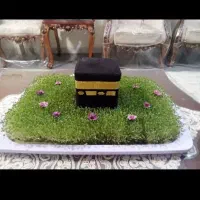 انواع سبزه برای هرمراسمی