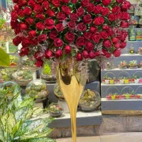 جام گل افتتاحیه
