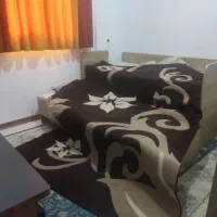 فرش|فرش|قم, شاه سید علی|دیوار