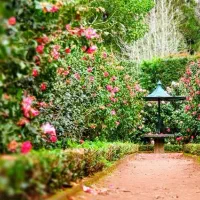 استخدام سرایدار