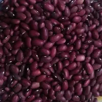 خشکباری ارزانکده مرغوب