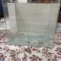 گیاه پلنت|ماهی|تهران, منیریه|دیوار