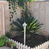 اجاره ویلا|اجارهٔ کوتاهمدت ویلا و باغ|رشت, بیجارپس|دیوار