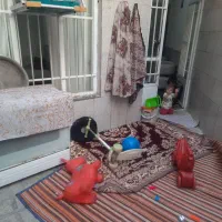 منزل ویلایی فروشی اوایل طبرسی شمالی بابا نظر ۶|فروش خانه و ویلا|مشهد, رده|دیوار