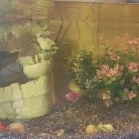 آکواریوم با شن های خلیج همیشه فارس