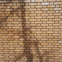 اجرای آجر نما کارسوله دیوار چینی لفتون آجر نسوز|خدمات پیشه و مهارت|تهران, تهرانسر شرقی|دیوار