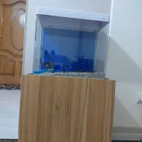 فروش آکواریوم شرکتی به همراه لوازم