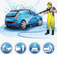 نیروی کارواش