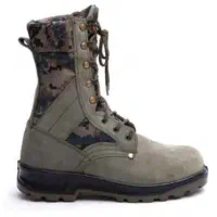 پوتین عملیاتی سبز دیجیتال