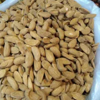 مغز گردو بادام پسته و بنه ،خلال گردو|خوردنی و آشامیدنی|شیراز, گلشن|دیوار