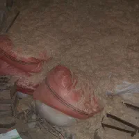 کاه نرم