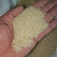 برنج کامفیروزی اصل|خوردنی و آشامیدنی|مرودشت, استادیوم‎|دیوار