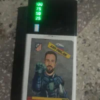 پاوربانک
