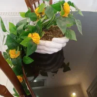 گل مصنوعی|گل مصنوعی|خمینیشهر, |دیوار