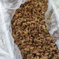 کشمش کارتنی و کیلویی|خوردنی و آشامیدنی|بیرجند, |دیوار