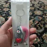 جاکلیدی وجاسوییچی