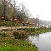 مدیر مالی