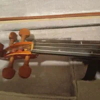 ویولن|ویولن|سنندج, |دیوار