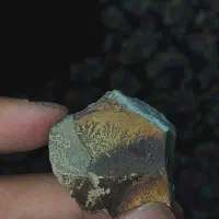سنگ فسیل شجر