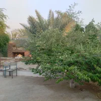 سوییت باغ در کنگان(دوراهک)|اجارهٔ کوتاه‌مدت آپارتمان و سوئیت|بندر دیر, |دیوار