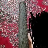 لاستیک دوچرخه 24