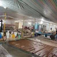 قالیشویی ایرانیان