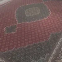 خانه اشپز خانه|فرش|ازنا, |دیوار