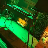 گروه موزیک و dj با رزومه کاری قوی|خدمات پذیرایی، مراسم|رشت, منظریه|دیوار