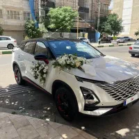 فونیکسfx
