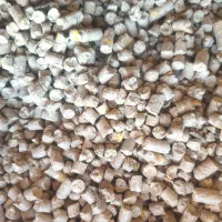 جو...کنسانتره|حیوانات مزرعه|قشلاق دشت, |دیوار