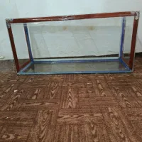 معاوضه هم دارم