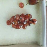 خوشه انگور عقیق یمن